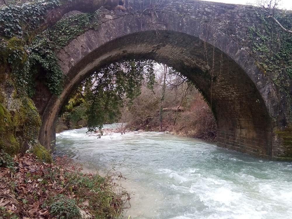 Gefiri 6